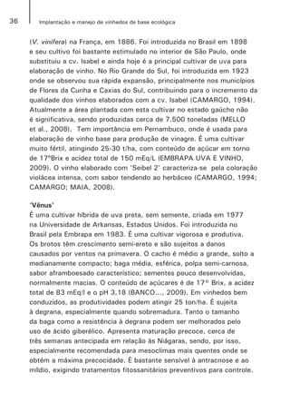 36 Implantação e manejo de vinhedos de base ecológica
(V. vinifera) na França, em 1886. Foi introduzida no Brasil em 1898
e seu cultivo foi bastante estimulado no interior de São Paulo, onde
substituiu a cv. Isabel e ainda hoje é a principal cultivar de uva para
elaboração de vinho. No Rio Grande do Sul, foi introduzida em 1923
onde se observou sua rápida expansão, principalmente nos municípios
de Flores da Cunha e Caxias do Sul, contribuindo para o incremento da
qualidade dos vinhos elaborados com a cv. Isabel (CAMARGO, 1994).
Atualmente a área plantada com esta cultivar no estado gaúcho não
é significativa, sendo produzidas cerca de 7.500 toneladas (MELLO
et al., 2008). Tem importância em Pernambuco, onde é usada para
elaboração de vinho base para produção de vinagre. É uma cultivar
muito fértil, atingindo 25-30 t/ha, com conteúdo de açúcar em torno
de 17ºBrix e acidez total de 150 mEq/L (EMBRAPA UVA E VINHO,
2009). O vinho elaborado com 'Seibel 2' caracteriza-se pela coloração
violácea intensa, com sabor tendendo ao herbáceo (CAMARGO, 1994;
CAMARGO; MAIA, 2008).
‘Vênus’
É uma cultivar híbrida de uva preta, sem semente, criada em 1977
na Universidade de Arkansas, Estados Unidos. Foi introduzida no
Brasil pela Embrapa em 1983. É uma cultivar vigorosa e produtiva.
Os brotos têm crescimento semi-ereto e são sujeitos a danos
causados por ventos na primavera. O cacho é médio a grande, solto a
medianamente compacto; baga média, esférica, polpa semi-carnosa,
sabor aframboesado característico; sementes pouco desenvolvidas,
normalmente macias. O conteúdo de açúcares é de 17° Brix, a acidez
total de 83 mEq/l e o pH 3,18 (BANCO..., 2009). Em vinhedos bem
conduzidos, as produtividades podem atingir 25 ton/ha. É sujeita
à degrana, especialmente quando sobremadura. Tanto o tamanho
da baga como a resistência à degrana podem ser melhorados pelo
uso de ácido giberélico. Apresenta maturação precoce, cerca de
três semanas antecipada em relação às Niágaras, sendo, por isso,
especialmente recomendada para mesoclimas mais quentes onde se
obtém a máxima precocidade. É bastante sensível à antracnose e ao
míldio, exigindo tratamentos fitossanitários preventivos para controle.
 