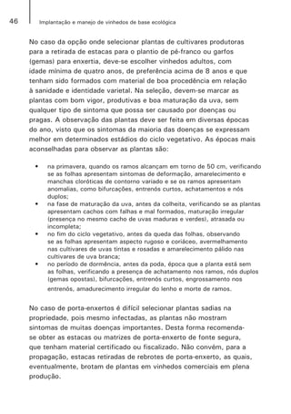 46 Implantação e manejo de vinhedos de base ecológica
No caso da opção onde selecionar plantas de cultivares produtoras
para a retirada de estacas para o plantio de pé-franco ou garfos
(gemas) para enxertia, deve-se escolher vinhedos adultos, com
idade mínima de quatro anos, de preferência acima de 8 anos e que
tenham sido formados com material de boa procedência em relação
à sanidade e identidade varietal. Na seleção, devem-se marcar as
plantas com bom vigor, produtivas e boa maturação da uva, sem
qualquer tipo de sintoma que possa ser causado por doenças ou
pragas. A observação das plantas deve ser feita em diversas épocas
do ano, visto que os sintomas da maioria das doenças se expressam
melhor em determinados estádios do ciclo vegetativo. As épocas mais
aconselhadas para observar as plantas são:
•	 na primavera, quando os ramos alcançam em torno de 50 cm, verificando
se as folhas apresentam sintomas de deformação, amarelecimento e
manchas cloróticas de contorno variado e se os ramos apresentam
anomalias, como bifurcações, entrenós curtos, achatamentos e nós
duplos;
•	 na fase de maturação da uva, antes da colheita, verificando se as plantas
apresentam cachos com falhas e mal formados, maturação irregular
(presença no mesmo cacho de uvas maduras e verdes), atrasada ou
incompleta;
•	 no fim do ciclo vegetativo, antes da queda das folhas, observando
se as folhas apresentam aspecto rugoso e coriáceo, avermelhamento
nas cultivares de uvas tintas e rosadas e amarelecimento pálido nas
cultivares de uva branca;
•	 no período de dormência, antes da poda, época que a planta está sem
as folhas, verificando a presença de achatamento nos ramos, nós duplos
(gemas opostas), bifurcações, entrenós curtos, engrossamento nos
entrenós, amadurecimento irregular do lenho e morte de ramos.
No caso de porta-enxertos é difícil selecionar plantas sadias na
propriedade, pois mesmo infectadas, as plantas não mostram
sintomas de muitas doenças importantes. Desta forma recomenda-
se obter as estacas ou matrizes de porta-enxerto de fonte segura,
que tenham material certificado ou fiscalizado. Não convém, para a
propagação, estacas retiradas de rebrotes de porta-enxerto, as quais,
eventualmente, brotam de plantas em vinhedos comerciais em plena
produção.
 