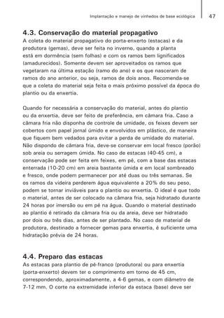 47Implantação e manejo de vinhedos de base ecológica
4.3. Conservação do material propagativo
A coleta do material propagativo do porta-enxerto (estacas) e da
produtora (gemas), deve ser feita no inverno, quando a planta
está em dormência (sem folhas) e com os ramos bem lignificados
(amadurecidos). Somente devem ser aproveitados os ramos que
vegetaram na última estação (ramo do ano) e os que nasceram de
ramos do ano anterior, ou seja, ramos de dois anos. Recomenda-se
que a coleta do material seja feita o mais próximo possível da época do
plantio ou da enxertia.
Quando for necessária a conservação do material, antes do plantio
ou da enxertia, deve ser feito de preferência, em câmara fria. Caso a
câmara fria não disponha de controle de umidade, os feixes devem ser
cobertos com papel jornal úmido e envolvidos em plástico, de maneira
que fiquem bem vedados para evitar a perda de umidade do material.
Não dispondo de câmara fria, deve-se conservar em local fresco (porão)
sob areia ou serragem úmida. No caso de estacas (40-45 cm), a
conservação pode ser feita em feixes, em pé, com a base das estacas
enterrada (10-20 cm) em areia bastante úmida e em local sombreado
e fresco, onde podem permanecer por até duas ou três semanas. Se
os ramos da videira perderem água equivalente a 20% do seu peso,
podem se tornar inviáveis para o plantio ou enxertia. O ideal é que todo
o material, antes de ser colocado na câmara fria, seja hidratado durante
24 horas por imersão ou em pé na água. Quando o material destinado
ao plantio é retirado da câmara fria ou da areia, deve ser hidratado
por dois ou três dias, antes de ser plantado. No caso de material de
produtora, destinado a fornecer gemas para enxertia, é suficiente uma
hidratação prévia de 24 horas.
4.4. Preparo das estacas
As estacas para plantio de pé-franco (produtora) ou para enxertia
(porta-enxerto) devem ter o comprimento em torno de 45 cm,
correspondendo, aproximadamente, a 4-6 gemas, e com diâmetro de
7-12 mm. O corte na extremidade inferior da estaca (base) deve ser
 