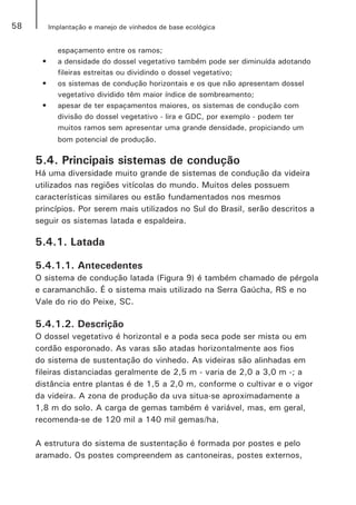 58 Implantação e manejo de vinhedos de base ecológica
espaçamento entre os ramos;
•	 a densidade do dossel vegetativo também pode ser diminuída adotando
fileiras estreitas ou dividindo o dossel vegetativo;
•	 os sistemas de condução horizontais e os que não apresentam dossel
vegetativo dividido têm maior índice de sombreamento;
•	 apesar de ter espaçamentos maiores, os sistemas de condução com
divisão do dossel vegetativo - lira e GDC, por exemplo - podem ter
muitos ramos sem apresentar uma grande densidade, propiciando um
bom potencial de produção.
5.4. Principais sistemas de condução
Há uma diversidade muito grande de sistemas de condução da videira
utilizados nas regiões vitícolas do mundo. Muitos deles possuem
características similares ou estão fundamentados nos mesmos
princípios. Por serem mais utilizados no Sul do Brasil, serão descritos a
seguir os sistemas latada e espaldeira.
5.4.1. Latada
5.4.1.1. Antecedentes
O sistema de condução latada (Figura 9) é também chamado de pérgola
e caramanchão. É o sistema mais utilizado na Serra Gaúcha, RS e no
Vale do rio do Peixe, SC.
5.4.1.2. Descrição
O dossel vegetativo é horizontal e a poda seca pode ser mista ou em
cordão esporonado. As varas são atadas horizontalmente aos fios
do sistema de sustentação do vinhedo. As videiras são alinhadas em
fileiras distanciadas geralmente de 2,5 m - varia de 2,0 a 3,0 m -; a
distância entre plantas é de 1,5 a 2,0 m, conforme o cultivar e o vigor
da videira. A zona de produção da uva situa-se aproximadamente a
1,8 m do solo. A carga de gemas também é variável, mas, em geral,
recomenda-se de 120 mil a 140 mil gemas/ha.
A estrutura do sistema de sustentação é formada por postes e pelo
aramado. Os postes compreendem as cantoneiras, postes externos,
 