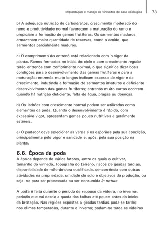 73Implantação e manejo de vinhedos de base ecológica
b) A adequada nutrição de carboidratos, crescimento moderado do
ramo e produtividade normal favorecem a maturação do ramo e
propiciam a formação de gemas frutíferas. Os sarmentos maduros
armazenam maior quantidade de reservas, como o amido, que
sarmentos parcialmente maduros.
c) O comprimento do entrenó está relacionado com o vigor da
planta. Ramos formados no início do ciclo e com crescimento regular
terão entrenós com comprimento normal, o que significa dizer boas
condições para o desenvolvimento das gemas frutíferas e para a
maturação; entrenós muito longos indicam excesso de vigor e de
crescimento, induzindo a formação de sarmentos imaturos e deficiente
desenvolvimento das gemas frutíferas; entrenós muito curtos ocorrem
quando há nutrição deficiente, falta de água, pragas ou doenças.
d) Os ladrões com crescimento normal podem ser utilizados como
elementos da poda. Quando o desenvolvimento é rápido, com
excessivo vigor, apresentam gemas pouco nutritivas e geralmente
estéreis.
e) O podador deve selecionar as varas e os esporões pela sua condição,
principalmente pelo vigor e sanidade e, após, pela sua posição na
planta.
6.6. Época da poda
A época depende de vários fatores, entre os quais o cultivar,
tamanho do vinhedo, topografia do terreno, riscos de geadas tardias,
disponibilidade de mão-de-obra qualificada, concorrência com outras
atividades na propriedade, umidade do solo e objetivos da produção, ou
seja, se para ser processada ou ser consumida in natura.
A poda é feita durante o período de repouso da videira, no inverno,
período que vai desde a queda das folhas até pouco antes do início
da brotação. Nas regiões expostas a geadas tardias poda-se tarde;
nos climas temperados, durante o inverno; podam-se tarde as videiras
 