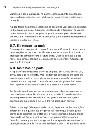 74 Implantação e manejo de vinhedos de base ecológica
vigorosas e cedo, as fracas. As podas excessivamente precoces ou
demasiadamente tardias são debilitantes para a videira e retardam a
brotação.
A poda tardia geralmente apresenta as seguintes vantagens: a brotação
tardia é mais uniforme; há menor incidência de antracnose; há menor
probabilidade de danos por geadas; propicia maior produtividade do
vinhedo; e a temperatura é mais adequada para o desenvolvimento dos
tecidos e órgãos da videira.
6.7. Elementos da poda
Os elementos da poda são o esporão e a vara. O esporão desempenha
duas funções na poda em cordão esporonado, ou seja, frutificação e
produção de sarmento para a futura poda. Quando adotada a poda
mista, sua função principal é a produção de sarmentos. A função da
vara é a frutificação.
6.8. Sistemas de poda
Há grande variabilidade de sistemas de poda, em função do cultivar,
clima, solo e porta-enxerto. Mas, podem ser agrupados em poda em
cordão esporonado e mista, deixando-se vara e esporão. A poda é
considerada curta quando o esporão tem até três gemas francas e
mista quando permanecem esporões e varas na mesma planta.
Em função do número de gemas deixadas na videira a poda pode ser
rica, média ou pobre. No sistema latada, a poda é considerada rica
quando permanecem mais de 120 mil gemas por hectare e pobre
quando esta quantidade é de 50 a 60 mil gemas por hectare.
Existe uma carga ótima para cada planta, dependendo das condições
existentes. Se a quantidade de gemas for menor que aquela que a
planta pode suportar, os brotos serão muito vigorosos, haverá maior
número de ladrões e, eventualmente, surgirão problemas com a
floração; caso a quantidade de gemas for exagerada, resultará numa
produção excessiva de frutos que debilitará a planta. O equilíbrio entre
 