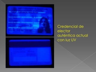 Credencial de
elector
auténtica actual
con luz UV
 