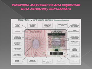 PASAPORTE MEXICANO DE ALTA SEGURIDAD
     HOJA INTERIOR Y CONTRAPASTA
 