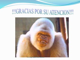 Dr. Jorge Rafael Diaz Dumont 
