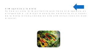 E l M a g n e s i o y l a d i e t a
Y a h e m o s v i s t o l a i m p o r t a n c i a q u e t i e n e e l m a g n e s i o e n
e l o r g a n i s m o . L a m e j o r m a n e r a d e o b t e n e r l o e s a t r a v é s
d e l a d i e t a i n t r o d u c i e n d o e n e l l a a l i m e n t o s r i c o s e n e s t e
m i n e r a l .
 