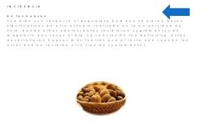 I N C I D E N C I A
E n l o s h u e s o s
T a m b i é n c o n r e s p e c t o a l e s q u e l e t o h u m a n o s e v i e r o n d a t o s
s i g n i f i c a t i v o s e n o t r o e s t u d i o r e a l i z a d o e n l a U n i v e r s i d a d d e
Y a l e , d o n d e n i ñ a s a d o l e s c e n t e s r e c i b i e r o n s u p l e m e n t o s d e
m a g n e s i o d o s v e c e s a l d í a . L a c o n c l u s i ó n f u e d e f i n i t i v a , e s t a s
d e s a r r o l l a r o n h u e s o s m á s f u e r t e s q u e e l r e s t o a ú n c u a n d o l a s
o t r a s h a b í a n r e c i b i d o o t r o t i p o d e s u p l e m e n t o s .
 