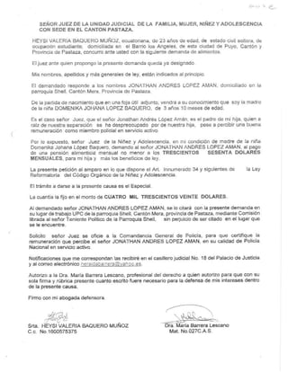 Documentos juridicos Paola Robayo