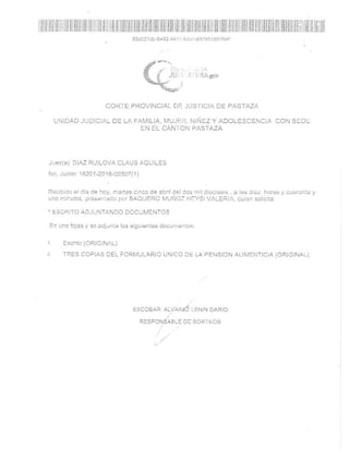 Documentos juridicos Paola Robayo