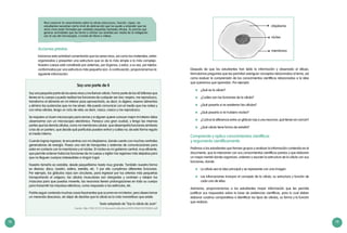 78 79
Acciones previas
Iniciamos esta actividad comentando que los seres vivos, así como los materiales, están
organizados y presentan una estructura que va de lo más simple a lo más complejo.
Nuestro cuerpo está constituido por sistemas, por órganos, y estos, a su vez, por tejidos
conformados por una estructura más pequeña aún. A continuación, proporcionamos la
siguiente información:
Para construir el conocimiento sobre la célula (estructura, función, tipos), los
estudiantes necesitan cierto nivel de abstracción que los ayude a entender que los
seres vivos están formados por unidades pequeñas llamadas células. Es preciso que
generar actividades que los lleven a utilizar sus sentidos por medio de la indagación
con el uso del microscopio, o través de libros o videos.
Soy una parte de ti
Soy una pequeña parte de los seres vivos y me llaman célula. Formo parte de los 60 billones que
tienes en tu cuerpo y puedo realizar las funciones de cualquier ser vivo: respiro, me reproduzco,
transformo el alimento en mi interior para aprovecharlo, es decir, lo digiero, reservo alimentos
y elimino las sustancias que no me sirven. Me puedo comunicar con el medio que me rodea y
con otras células, tengo un ciclo de vida, es decir, nazco, crezco y me reproduzco.
Se requiere un buen microscopio para verme y si alguien quiere conocer mejor mi interior debe
observarme con un microscopio electrónico. Parezco una gran ciudad, y tengo las mismas
partes que las demás células, como mi membrana celular, que desempeña funciones similares
a las de un portero, que decide qué partículas pueden entrar y cuáles no; de esta forma regula
el medio interno.
Cuando logras ingresar, te encuentras con mi citoplasma, donde cuento con muchas centrales
generadoras de energía. Poseo una red de transportes y sistemas de comunicaciones para
estar en contacto con la membrana y el núcleo. El núcleo es mi gobierno central, muy eficiente,
que permite ordenar todas las funciones de mi cuerpo y vigilar mis regiones más alejadas para
que no lleguen cuerpos indeseables a ningún lugar.
Nuestro tamaño es variable, desde pequeñísimo hasta muy grande. También nuestra forma
es diversa: disco, bastón, esfera, estrella, etc. Y por ello cumplimos diferentes funciones.
Por ejemplo, los glóbulos rojos son circulares, para ingresar por tus arterias más pequeñas
transportando el oxígeno, las células musculares son alargadas y contraen y relajan tus
músculos para que puedas moverte, las neuronas tienen prolongaciones en todo su cuerpo
para transmitir los impulsos eléctricos, como respuesta a los estímulos, etc.
Podría seguir contando muchas cosas fascinantes que ocurren en mi interior, pero deseo tomar
un merecido descanso, sin dejar de decirles que la célula es lo más maravilloso que existe.
Texto adaptado de “Soy la célula de Juan”.
Fuente: http://186.113.12.12/discoext/collections/0035/0065/02720065.pdf
Después de que los estudiantes han leído la información y observado el dibujo,
formulamos preguntas que les permitan averiguar conceptos relacionados al tema, así
como evaluar la comprensión de los conocimientos científicos relacionados a la idea
que queremos que aprendan. Por ejemplo:
	 ¿Qué es la célula?
	 ¿Cuáles son las funciones de la célula?
	 ¿Qué pasaría si no existieran las células?
	 ¿Qué pasaría si no hubiera núcleo?
	 ¿Cuál es la diferencia entre un glóbulo rojo y una neurona, qué tienen en común?
	 ¿Qué célula tiene forma de estrella?
Comprende y aplica conocimientos científicos
y argumenta científicamente
Pedimos a los estudiantes que formen grupos y analicen la información contenida en el
documento, que la relacionen con sus conocimientos científicos previos y que elaboren
un mapa mental donde organicen, ordenen y asocien la estructura de la célula con sus
funciones, donde:
	 La célula sea la idea principal y se represente con una imagen.
	 Las bifurcaciones incluyan el concepto de la célula, su estructura y función de
cada una de ellas.
Asimismo, proporcionamos a los estudiantes mayor información que les permita
justificar sus respuestas sobre la base de evidencias científicas, para lo cual deben
elaborar cuadros comparativos e identificar los tipos de células, su forma y la función
que realizan.
citoplasma
núcleo
membrana
 