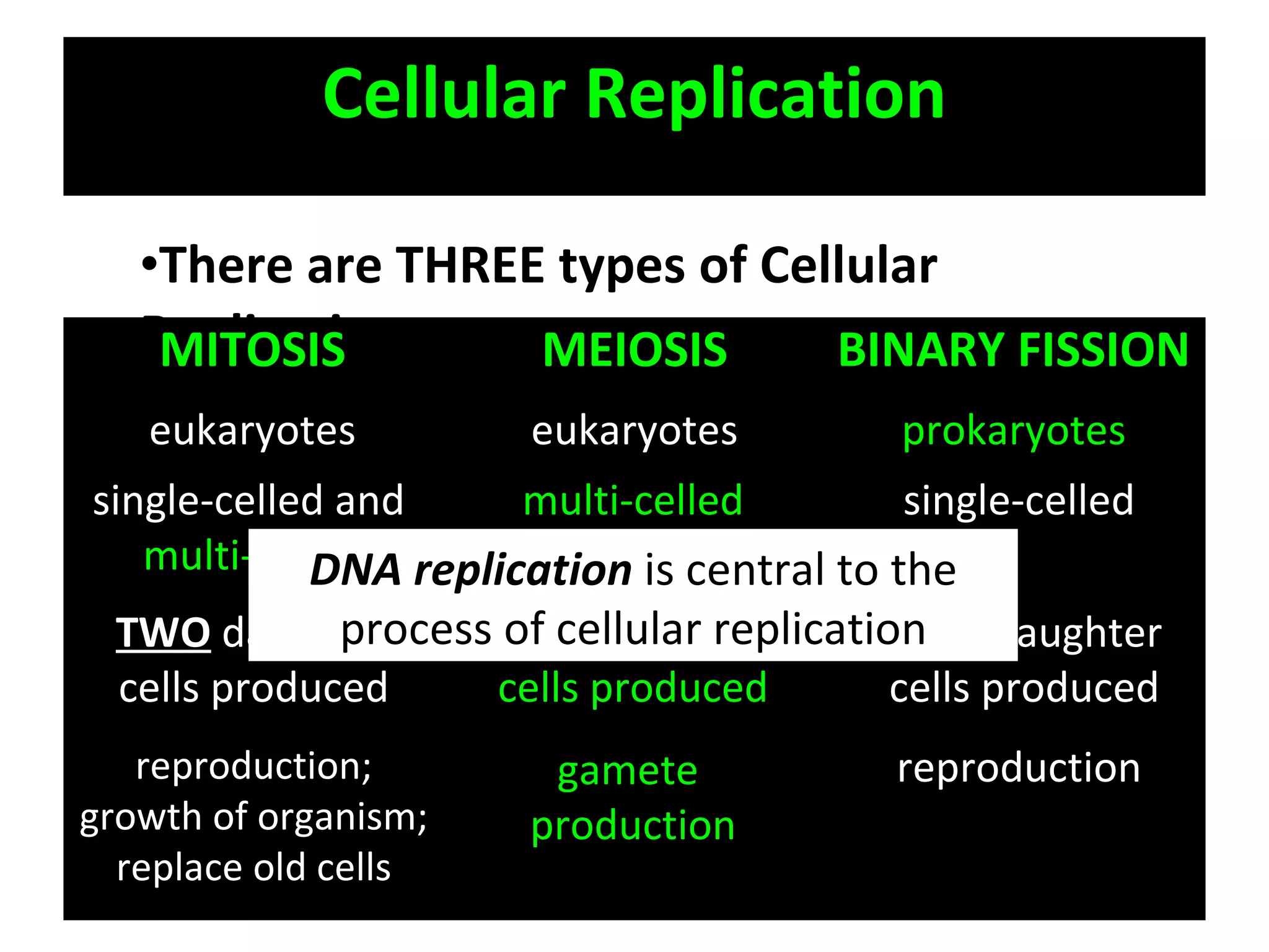 Cellular Replication There are THREE types of Cellular Replication MITOSIS MEIOSIS BINARY FISSION eukaryotes eukaryotes prokaryotes single-celled and  multi-celled multi-celled single-celled TWO   daughter cells produced FOUR   daughter cells produced TWO   daughter cells produced reproduction; growth of organism; replace old cells gamete  production reproduction DNA replication  is central to the process of cellular replication 