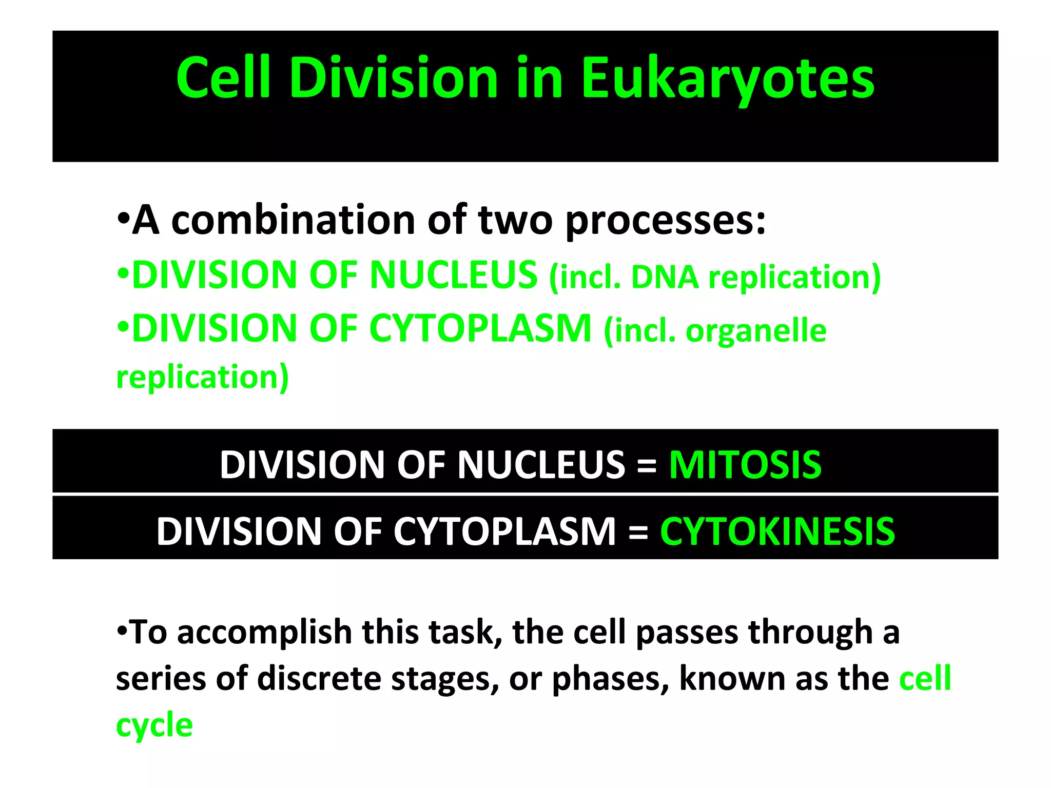 Cell Division in Eukaryotes A combination of two processes: DIVISION OF NUCLEUS  (incl. DNA replication) DIVISION OF CYTOPLASM  (incl. organelle replication) To accomplish this task, the cell passes through a series of discrete stages, or phases, known as the  cell cycle DIVISION OF NUCLEUS =  MITOSIS  DIVISION OF CYTOPLASM =  CYTOKINESIS 