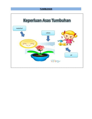 TUMBUHAN