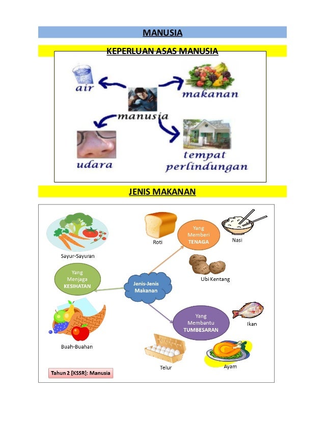 Nota Peta Minda Sains Tingkatan 2 Dari Guru Untuk Guru - Riset