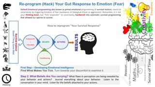 First Step – Developing Emotional Intelligence
Find What Makes You Tick. Turn towards your discomfort to examine it.
Re-program (Hack) Your Gut Response to Emotion (Fear)
How to reprogram “Your Survival Response”
Step 2: What Beliefs Are You carrying? What flaws in perception are being revealed by
your behavior and actions? Journal everything about your behavior. Listen to the
conversation in your mind. Listen for the beliefs attached to your actions.
SurvivalInstinct
GoodThingGoneBad
ACTIONSBELIEFS
THOUGHTS
+
FEELINGS
Conditioning
Default Emotional programming also known as primal emotional programming of survival instinct, reacts to
uncertainty by triggering Emotion of fear (avoidance of biological threat or aggression). Remember, it is not
your thinking brain, but “first responder” to uncertainty, hardwired into automatic survival programming
that allowed our species to survive.
 