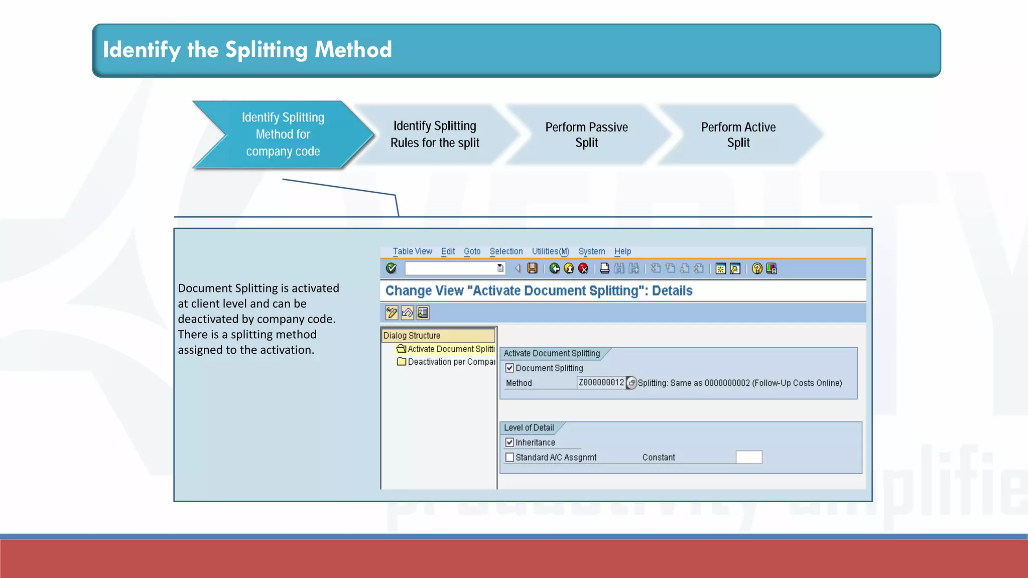 Document splitting in New GL in SAP | PDF