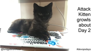 @bridgetkromhout #devopsdays
Attack
Kitten
growls
about
Day 2
 
