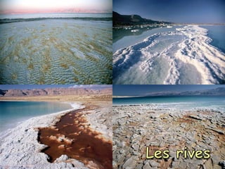 Les rives 
