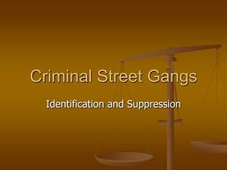 Criminal Street Gangs Identification and Suppression 