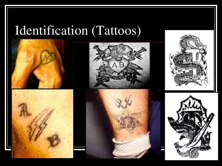 Criminal Street Gangs