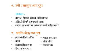 6. स्त्री ( मानुष ) का दूध
हिशेषतः-
• िातज, हपत्तज, रक्तज, अहभघातज,
• अहक्षरोगों को दूर करने िाला
• तपधण, आश्चच्योतन एिं ननय कमध में हितकारी
7. आहव (भेड़) का दूध
• हृदय क
े हलये अहप्रय
• उष्ण
• िातव्याहधनाशक
• हिक्का उत्पादक
• श्वास उत्पादक
• हपत्तिधधक
• कफिधधक
 
