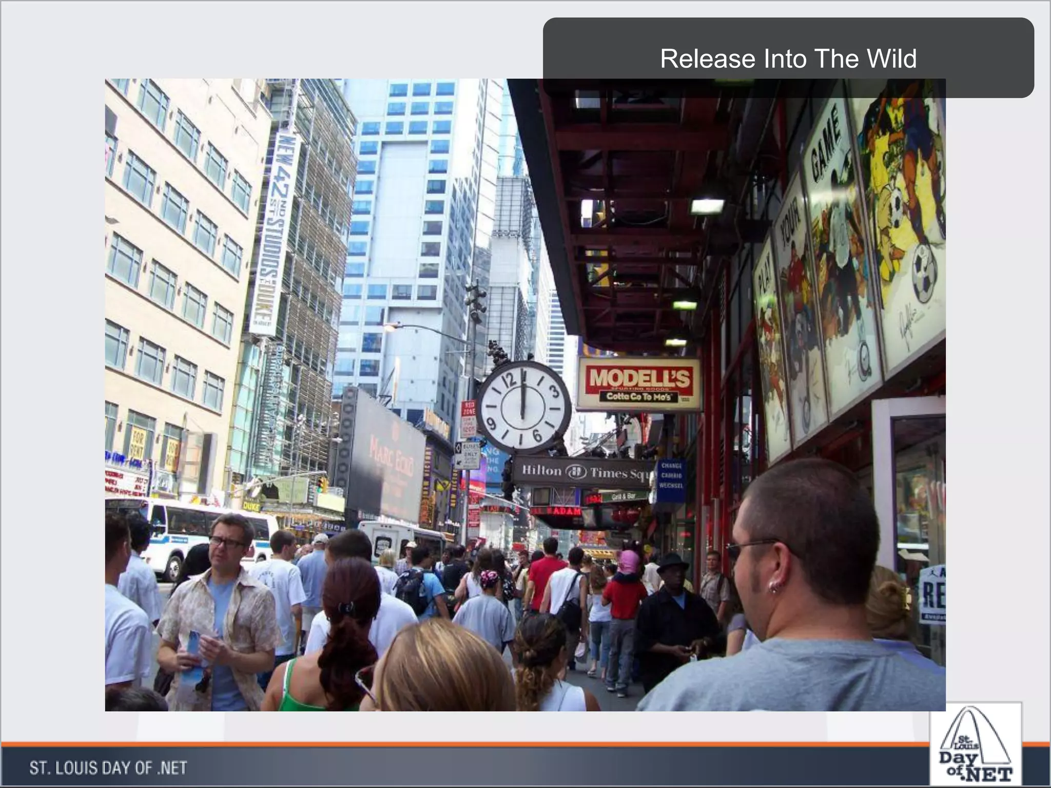 Release Into The Wild