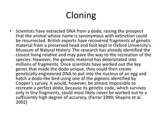 The observed rate of extinction has accelerated dramatically in the last 50 years. There is no general agreement on whether to consider more recent extinctions as a distinct event or merely part of a single escalating process. Only during these most recent parts of the extinction have plans also suffered large losses. Overall, the Holocene extinction event is most significantly characterized by the presence of man-made driving factors and its very short geological timescale (tens to thousands of years) compared to most other extinction events. (S.L. Pimm, et al. 1995)CloningScientists have extracted DNA from a dodo, raising the prospect that the animal whose name is synonymous with extinction could be resurrected. British experts have recovered fragments of genetic material from a preserved head and foot kept in Oxford University's Museum of Natural History. The research has already identified the closest living relative and may pave the way to the recreation of the species. However, the genetic material has deteriorated into millions of fragments. Once scientists have worked out the key genes that made the dodo unique, they could then create genetically engineered DNA to put into the nucleus of an egg and hatch a dodo-like bird using one of the pigeons identified by Cooper's survey. It would, however, be almost impossible to recreate a perfect dodo, because its genetic code, which survives only in tiny fragments, could most likely never be worked out to a sufficiently high degree of accuracy. (Farrar 1999; Shapiro et al. 2002)