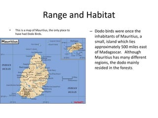 Range and HabitatDodo birds were once the inhabitants of Mauritius, a small, island which lies approximately 500 miles east of Madagascar.   Although Mauritius has many different regions, the dodo mainly resided in the forests.This is a map of Mauritius, the only place to have had Dodo Birds.