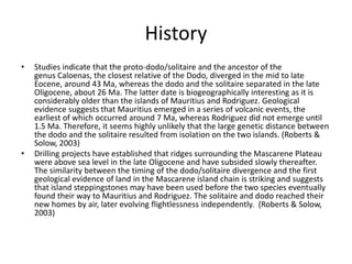 History Studies indicate that the proto-dodo/solitaire and the ancestor of the genus Caloenas, the closest relative of the Dodo, diverged in the mid to late Eocene, around 43 Ma, whereas the dodo and the solitaire separated in the late Oligocene, about 26 Ma. The latter date is biogeographically interesting as it is considerably older than the islands of Mauritius and Rodriguez. Geological evidence suggests that Mauritius emerged in a series of volcanic events, the earliest of which occurred around 7 Ma, whereas Rodriguez did not emerge until 1.5 Ma. Therefore, it seems highly unlikely that the large genetic distance between the dodo and the solitaire resulted from isolation on the two islands. (Roberts & Solow, 2003)Drilling projects have established that ridges surrounding the Mascarene Plateau were above sea level in the late Oligocene and have subsided slowly thereafter. The similarity between the timing of the dodo/solitaire divergence and the first geological evidence of land in the Mascarene island chain is striking and suggests that island steppingstones may have been used before the two species eventually found their way to Mauritius and Rodriguez. The solitaire and dodo reached their new homes by air, later evolving flightlessness independently.  (Roberts & Solow, 2003)