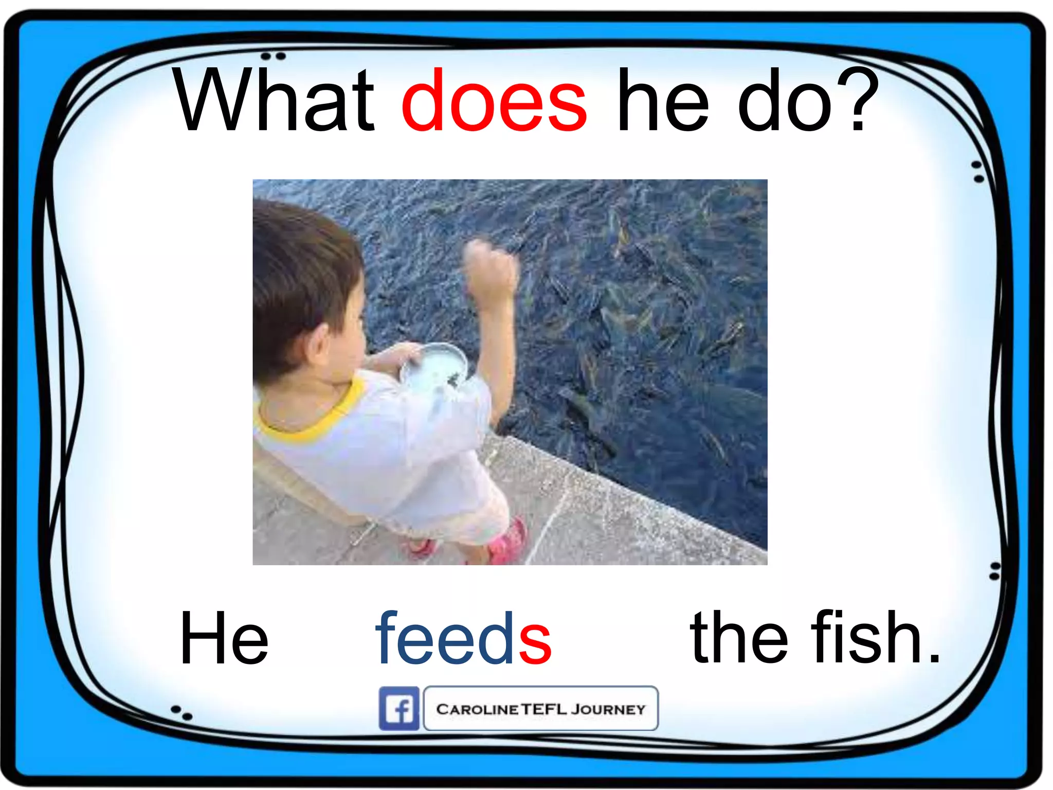 What does he do?
He the fish.feeds
 