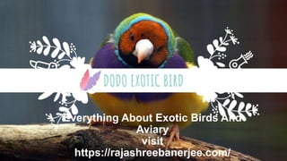 Everything About Exotic Birds And
Aviary
visit
https://rajashreebanerjee.com/
 