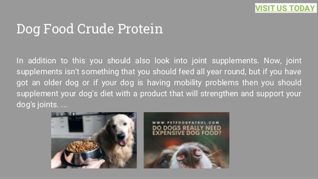 Dog Food Crude Protein
In addition to this you should also look into joint supplements. Now, joint
supplements isn't something that you should feed all year round, but if you have
got an older dog or if your dog is having mobility problems then you should
supplement your dog's diet with a product that will strengthen and support your
dog's joints. ...
VISIT US TODAY
 