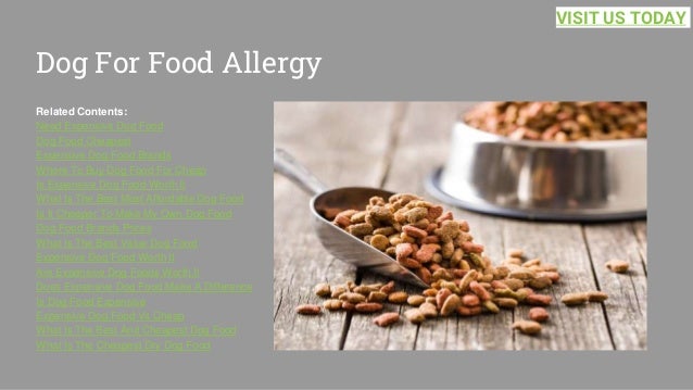 Dog For Food Allergy
Related Contents:
Need Expensive Dog Food
Dog Food Cheapest
Expensive Dog Food Brands
Where To Buy Dog Food For Cheap
Is Expensive Dog Food Worth It
What Is The Best Most Affordable Dog Food
Is It Cheaper To Make My Own Dog Food
Dog Food Brands Prices
What Is The Best Value Dog Food
Expensive Dog Food Worth It
Are Expensive Dog Foods Worth It
Does Expensive Dog Food Make A Difference
Is Dog Food Expensive
Expensive Dog Food Vs Cheap
What Is The Best And Cheapest Dog Food
What Is The Cheapest Dry Dog Food
VISIT US TODAY
 