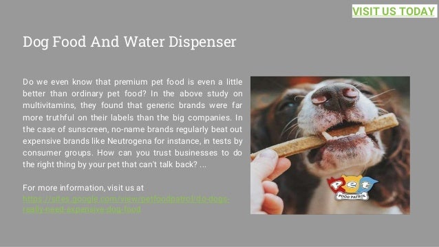 Dog Food And Water Dispenser
Do we even know that premium pet food is even a little
better than ordinary pet food? In the above study on
multivitamins, they found that generic brands were far
more truthful on their labels than the big companies. In
the case of sunscreen, no-name brands regularly beat out
expensive brands like Neutrogena for instance, in tests by
consumer groups. How can you trust businesses to do
the right thing by your pet that can't talk back? ...
For more information, visit us at
https://sites.google.com/view/petfoodpatrol/do-dogs-
really-need-expensive-dog-food
VISIT US TODAY
 
