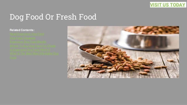 Dog Food Or Fresh Food
Related Contents:
Need Expensive Dog Food
Dog Food Cheapest
Expensive Dog Food Brands
Where To Buy Dog Food For Cheap
Is Expensive Dog Food Worth It
What Is The Best Most Affordable Dog
Food
VISIT US TODAY
 