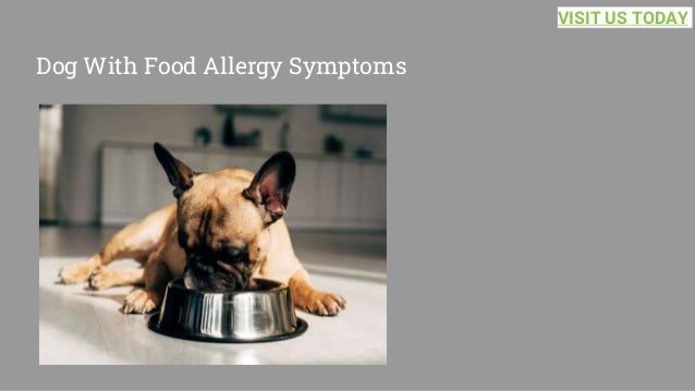 Dog With Food Allergy Symptoms
VISIT US TODAY
 