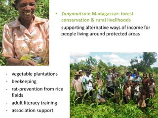 • Tanymaitsoin Madagascar: forest
                        conservation & rural livelihoods
                        supporting alternative ways of income for
                        people living around protected areas




- vegetable plantations
- beekeeping
- rat-prevention from rice
  fields
- adult literacy training
- association support
 