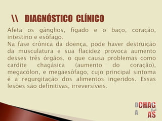 DIAGNÓSTICO CLÍNICO