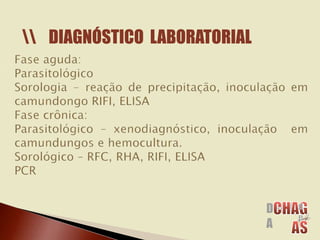 DIAGNÓSTICO LABORATORIAL