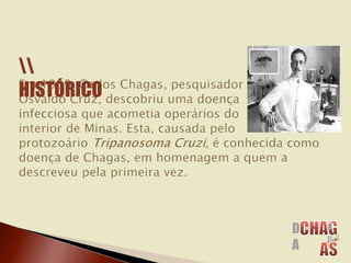 HISTÓRICO