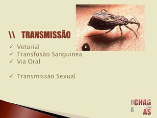 TRANSMISSÃO