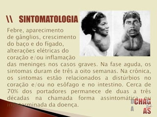 SINTOMATOLOGIA