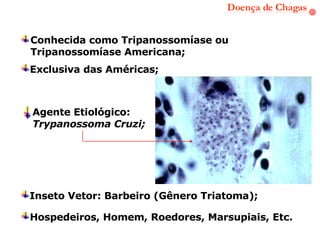 Doença de Chagas Conhecida como Tripanossomíase ou Tripanossomíase Americana; Exclusiva das Américas; Agente Etiológico:  Trypanossoma Cruzi; Inseto Vetor: Barbeiro (Gênero Triatoma); Hospedeiros, Homem, Roedores, Marsupiais, Etc. 