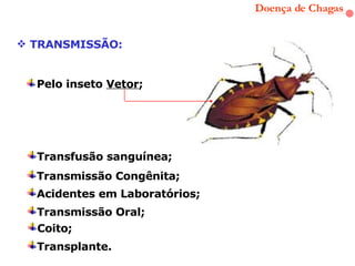 Doença de Chagas TRANSMISSÃO: Pelo inseto  Vetor ; Transfusão sanguínea;  Transmissão Congênita; Acidentes em Laboratórios; Transmissão Oral; Coito; Transplante. 