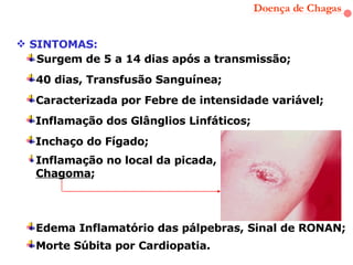 Doença de Chagas SINTOMAS: Surgem de 5 a 14 dias após a transmissão; Caracterizada por Febre de intensidade variável; Inflamação dos Glânglios Linfáticos; Inchaço do Fígado; Inflamação no local da picada,  Chagoma ; 40 dias, Transfusão Sanguínea;  Edema Inflamatório das pálpebras, Sinal de RONAN; Morte Súbita por Cardiopatia. 