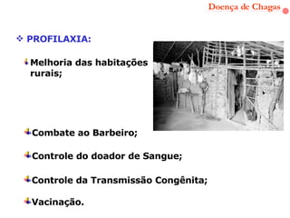 Doença de Chagas PROFILAXIA: Melhoria das habitações rurais; Controle do doador de Sangue; Controle da Transmissão Congênita; Vacinação. Combate ao Barbeiro;  
