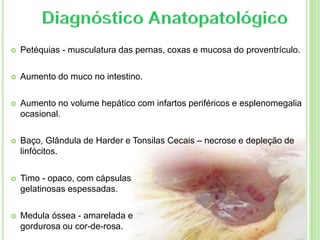  Petéquias - musculatura das pernas, coxas e mucosa do proventrículo.
 Aumento do muco no intestino.
 Aumento no volume hepático com infartos periféricos e esplenomegalia
ocasional.
 Baço, Glândula de Harder e Tonsilas Cecais – necrose e depleção de
linfócitos.
 Timo - opaco, com cápsulas
gelatinosas espessadas.
 Medula óssea - amarelada e
gordurosa ou cor-de-rosa.
 