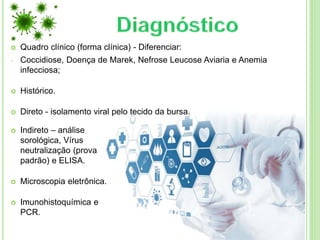  Quadro clínico (forma clínica) - Diferenciar:
- Coccidiose, Doença de Marek, Nefrose Leucose Aviaria e Anemia
infecciosa;
 Histórico.
 Direto - isolamento viral pelo tecido da bursa.
 Indireto – análise
sorológica, Vírus
neutralização (prova
padrão) e ELISA.
 Microscopia eletrônica.
 Imunohistoquímica e
PCR.
 