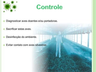  Diagnosticar aves doentes e/ou portadoras.
 Sacrificar estas aves.
 Desinfecção do ambiente.
 Evitar contato com aves silvestres.
 