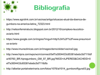  https://www.agrolink.com.br/vacinas/artigo/situacao-atual-da-doenca-de-
gumboro-na-america-latina_72323.html
 http://nelsonferreiralucio.blogspot.com.br/2012/10/complexo-leucotico-
aviario.html
 https://www.google.com.br/imgres?imgurl=http%3A%2F%2Fwww.pneumovir
us-aviario
 http://www.imuneclinicas.com.br/images/demo/slider/vacina3.jpg
 http://www.hipra.com/wps/wcm/connect/0ef7a3004433c65381ebebc5d7116df
a/40760_BR.hipragumboro_GM_97_BR.jpg?MOD=AJPERES&CACHEID=0
ef7a3004433c65381ebebc5d7116dfa
 http://albeitar.portalveterinaria.com/fotos/1076/al1014_gumboroIfigura03.jpg
 